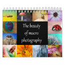 Suche nach makrophotographie Wanzen