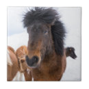Suche nach equus caballus fliesen Pferd