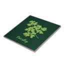 Suche nach petersilie fliesen Kraut