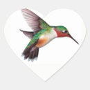 Suche nach hummingbird aufkleber Federn