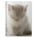 Suche nach katzenartig kleine notizbücher Pelz