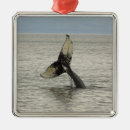 Suche nach buckelwal ornamente Alaska