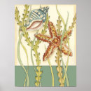 Suche nach muschel kunst Seehecht