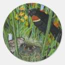 Suche nach schilf aufkleber Natur