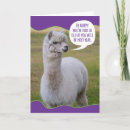 Suche nach funny llama karten Tier