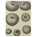 Suche nach sand klemmbrett Küste