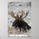 Suche nach ken archer poster Usa