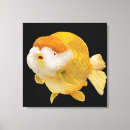 Suche nach goldfisch leinwandbilder Orange