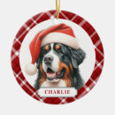 Suche nach berner ornamente Personalisiert
