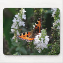 Suche nach orange schmetterling mousepads Blume