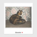 Suche nach sofa aufkleber Hauskatze