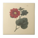 Suche nach vintage illustrationen fliesen Blumenreich