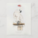 Suche nach edward lear postkarten Illustration