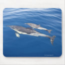 Suche nach delphin mousepads Wild lebende tiere