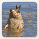 Suche nach enten untersetzer Wasser