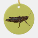 Suche nach insekt ornamente Grasshopper
