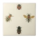 Suche nach fliegen fliesen Insekten