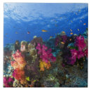 Suche nach umwelt fliesen Tiere