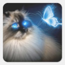 Suche nach ragdoll katzen aufkleber Kitty