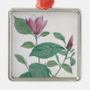 Suche nach magnolie ornamente 19