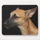 Suche nach link mousepads Natur