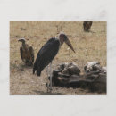 Suche nach sekretär postkarten Afrika