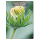 Suche nach botanik klemmbrett Flora