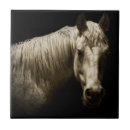 Suche nach schwarzes pferd fliesen Western