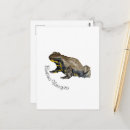 Suche nach amphibien postkarten Reptil