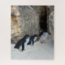 Suche nach penguin puzzle Vogelvogel