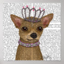 Suche nach chihuahua poster Tiere