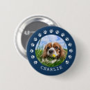 Suche nach pets buttons Für haustiere