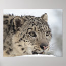 Suche nach waagerecht poster Usa