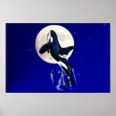 Suche nach schwertwal poster Wale