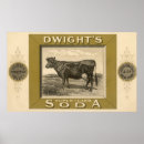 Suche nach soda poster Retro