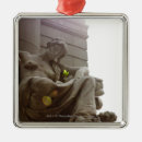 Suche nach statue ornamente Architektur