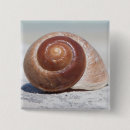 Suche nach seashell buttons Ozean