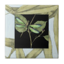 Suche nach libellen fliesen Botanisch