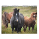 Suche nach fohlen kalender Haflinger