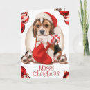 Suche nach beagle puppy postkarten Santa