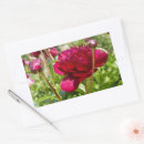 Suche nach velvet aufkleber Rosa