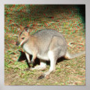Suche nach australian flag poster Aussie