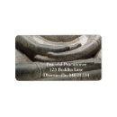 Suche nach mudra Buddhismus