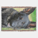 Suche nach deutscher schäferhund decken Haustier