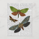Suche nach butterfliege postkarten Steampunk