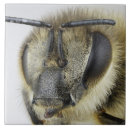 Suche nach kopf fliesen Antenne