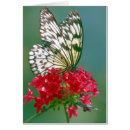 Suche nach gepunkteter schmetterling karten Blume