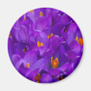 Suche nach kreuz magnete Blume