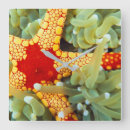 Suche nach sea wanduhren Coral reef