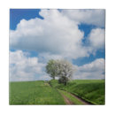 Suche nach apfelbaum fliesen Land